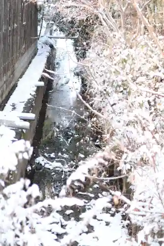 前玉神社の{uncategorized: "未分類", other: "その他", undefined: "問題あり", building: "その他建物", grave: "お墓", sacred_gate: "鳥居", guardian: "狛犬", statue: "像", buddha: "仏像", history: "歴史", nature: "自然", garden: "庭園", animal: "動物", pagoda: "塔", temizu: "手水舎", mountain_gate: "山門・神門", sanctuary: "本殿・本堂", subordinate: "末社・摂社", art: "芸術", scenery: "景色", jizo: "地蔵", ema: "絵馬", goshuin: "御朱印", omikuji: "おみくじ", items: "授与品その他", amulet: "お守り", goshuincho: "御朱印帳", eats: "食事", festival: "お祭り", votive_dance: "神楽", shichigosan: "七五三参", wedding: "結婚式", experience: "体験その他", initially: "初詣", around: "周辺", anti_infection: "感染症対策"}