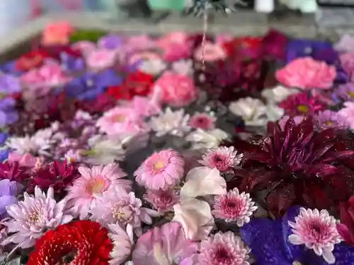 札幌諏訪神社の手水舎