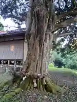 愛宕神社の自然