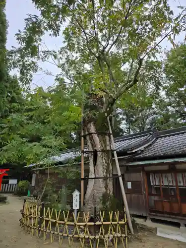 葛城一言主神社(奈良県)