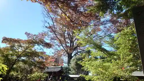 興禅寺(栃木県)