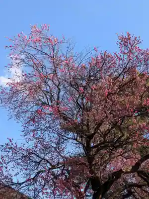 田端神社(東京都)