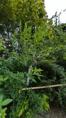 梨木神社(京都府)