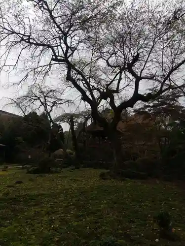 光丸山 法輪寺(栃木県)