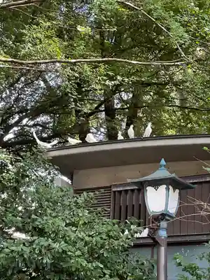 靖國神社(東京都)