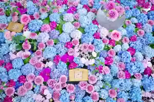 本年も花手水を開催いたします。
第1回は4月25日から5月6日までです。
本年も10回ほど開催予定ですので、是非ともご参拝ください。