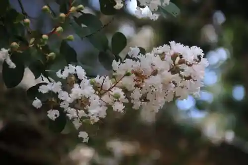 田村神社の庭園