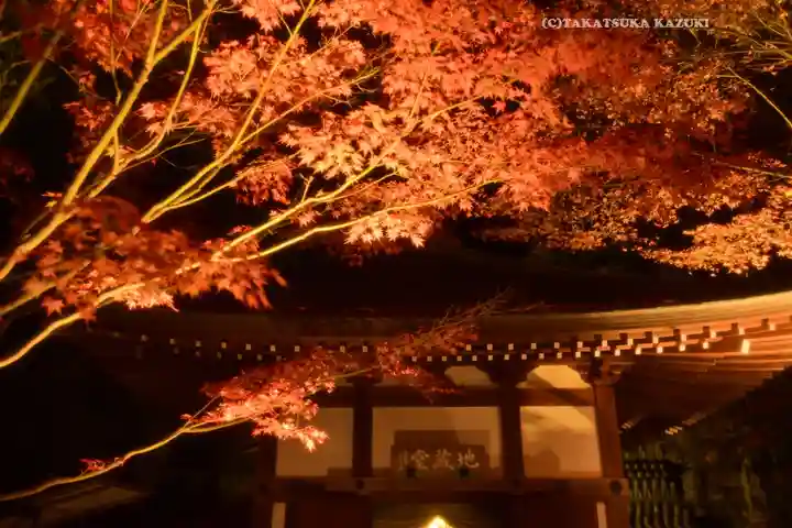 長谷寺(神奈川県)