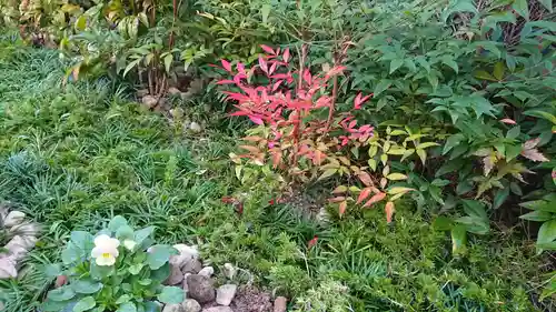 寿量山　速成寺の庭園