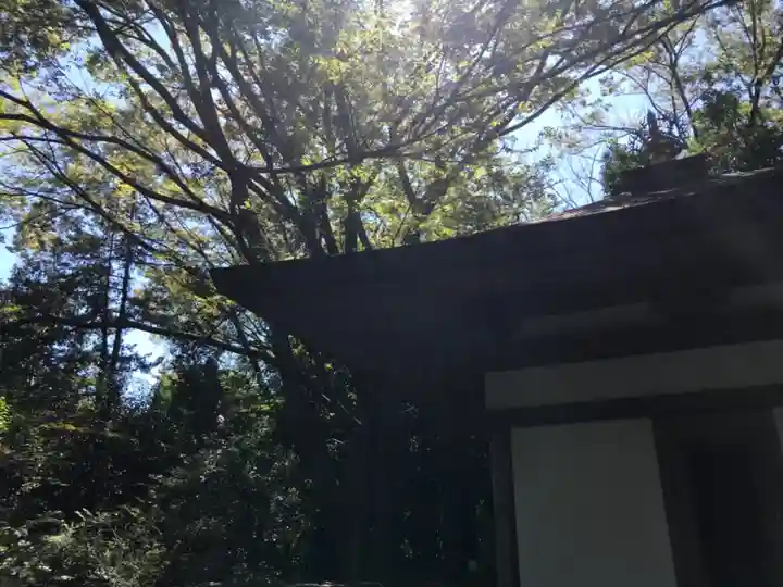 普門院(東京都)