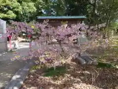 都波岐奈加等神社の自然