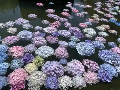 久安寺(大阪府)