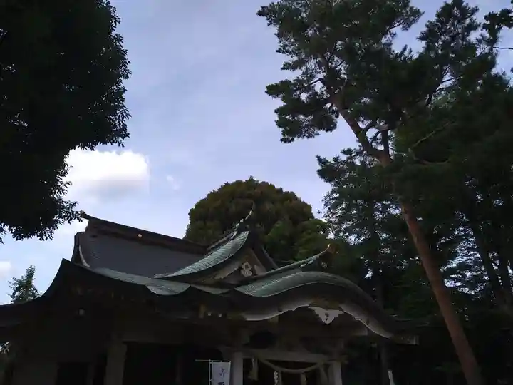 天沼八幡神社の本殿・本堂