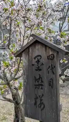 墨染寺（桜寺）(京都府)