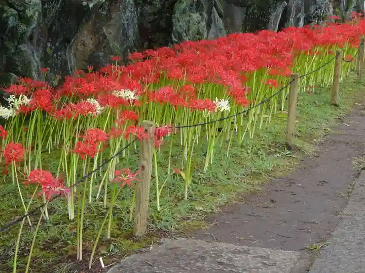 横浜 西方寺の自然