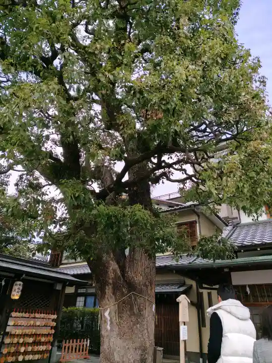 晴明神社の{uncategorized: "未分類", other: "その他", undefined: "問題あり", building: "その他建物", grave: "お墓", sacred_gate: "鳥居", guardian: "狛犬", statue: "像", buddha: "仏像", history: "歴史", nature: "自然", garden: "庭園", animal: "動物", pagoda: "塔", temizu: "手水舎", mountain_gate: "山門・神門", sanctuary: "本殿・本堂", subordinate: "末社・摂社", art: "芸術", scenery: "景色", jizo: "地蔵", ema: "絵馬", goshuin: "御朱印", omikuji: "おみくじ", items: "授与品その他", amulet: "お守り", goshuincho: "御朱印帳", eats: "食事", festival: "お祭り", votive_dance: "神楽", shichigosan: "七五三参", wedding: "結婚式", experience: "体験その他", initially: "初詣", around: "周辺", anti_infection: "感染症対策"}