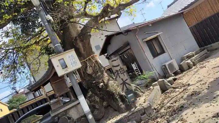櫟谷七野神社(京都府)