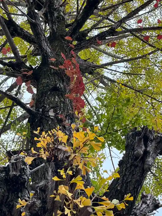 桐生天満宮(群馬県)