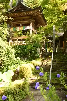 定福寺(高知県)