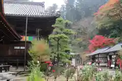 岡寺（龍蓋寺）の建物その他