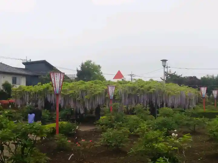 箭弓稲荷神社の{uncategorized: "未分類", other: "その他", undefined: "問題あり", building: "その他建物", grave: "お墓", sacred_gate: "鳥居", guardian: "狛犬", statue: "像", buddha: "仏像", history: "歴史", nature: "自然", garden: "庭園", animal: "動物", pagoda: "塔", temizu: "手水舎", mountain_gate: "山門・神門", sanctuary: "本殿・本堂", subordinate: "末社・摂社", art: "芸術", scenery: "景色", jizo: "地蔵", ema: "絵馬", goshuin: "御朱印", omikuji: "おみくじ", items: "授与品その他", amulet: "お守り", goshuincho: "御朱印帳", eats: "食事", festival: "お祭り", votive_dance: "神楽", shichigosan: "七五三参", wedding: "結婚式", experience: "体験その他", initially: "初詣", around: "周辺", anti_infection: "感染症対策"}