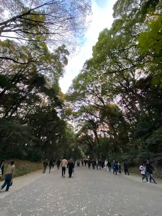 明治神宮(東京都)