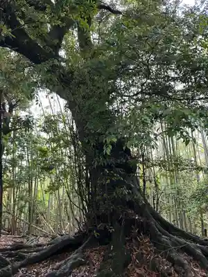 法庭神社本宮(兵庫県)