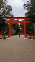 賀茂御祖神社(下鴨神社)(京都府)