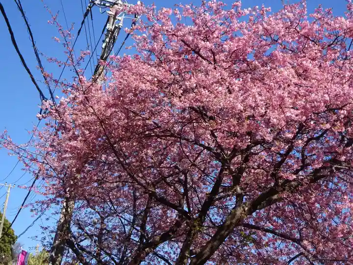 素盞嗚神社の自然