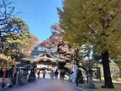 布多天神社(東京都)