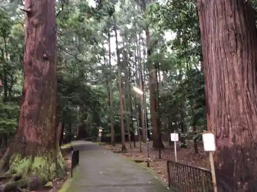 若狭彦神社（上社）の建物その他