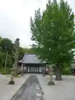 宝泉寺(山口県)