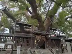 三島神社の自然