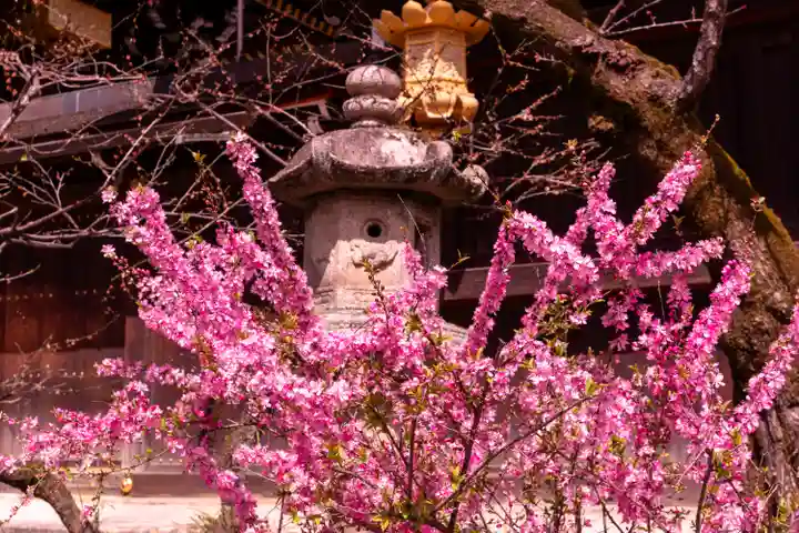 北野天満宮(京都府)