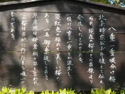 極楽寺（霊鷲山感應院極楽律寺）の歴史