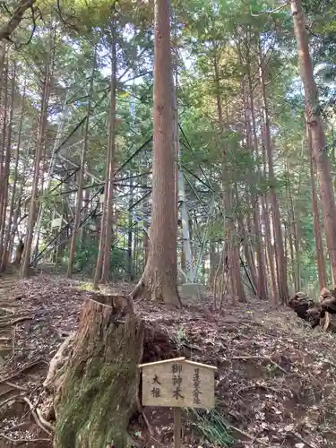日蓮大聖人経塚・道善御房供養塚(妙長寺 奥の院 加名盛祖師堂)(千葉県)