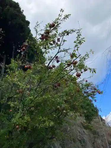 播州清水寺(兵庫県)