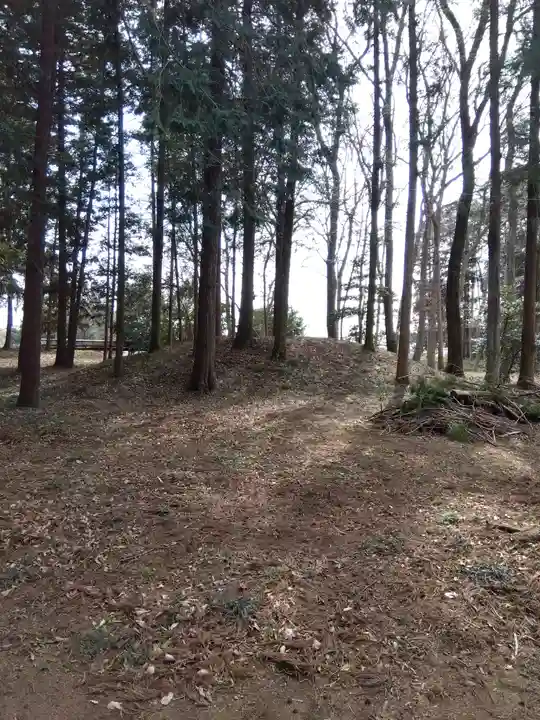 十社神社(埼玉県)