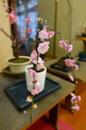 菅原天満宮（菅原神社）の自然