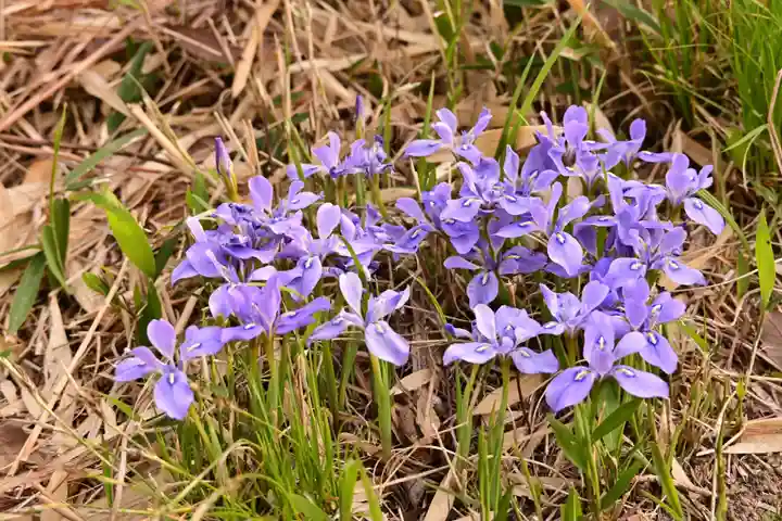 鎌大師堂(愛媛県)
