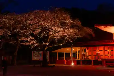 富士山本宮浅間大社(静岡県)