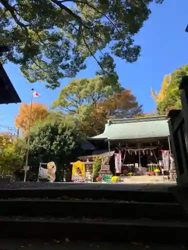 曾屋神社(神奈川県)