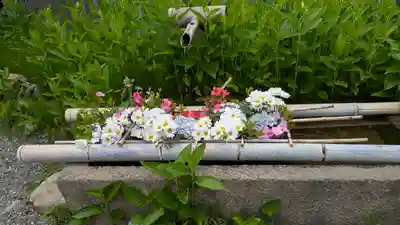 二尊院(京都府)