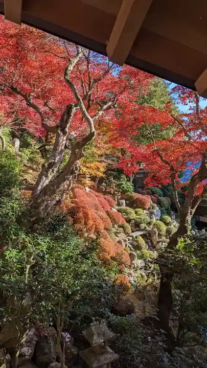 柳谷観音 楊谷寺(京都府)