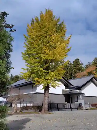 瑞巌寺(宮城県)