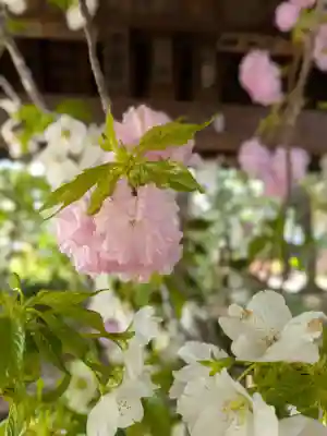 赤坂氷川神社(東京都)