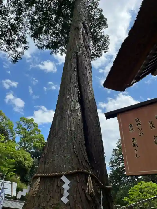 豊受大神社(京都府)