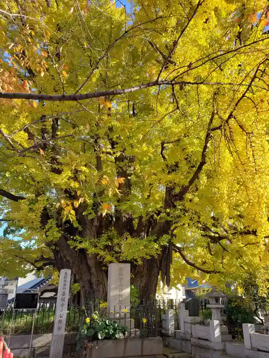善福寺(東京都)