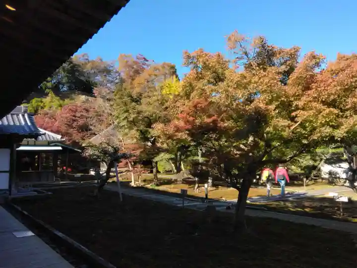 長壽寺(長寿寺)(神奈川県)