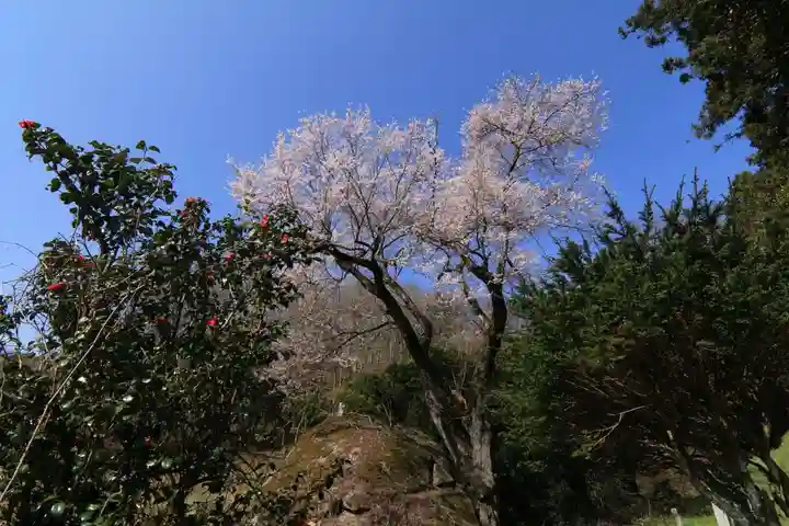赤岩稲荷神社の自然